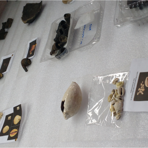 Objetos de possível origem africana encontrados nas escavações do Cais do Valongo